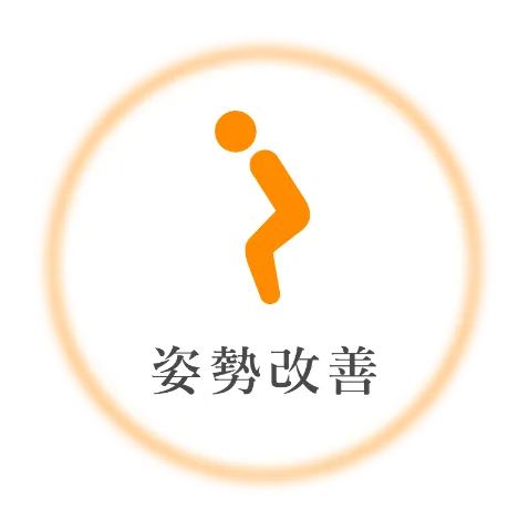 姿勢改善におすすめの杖 ウォーキングポール 2本杖