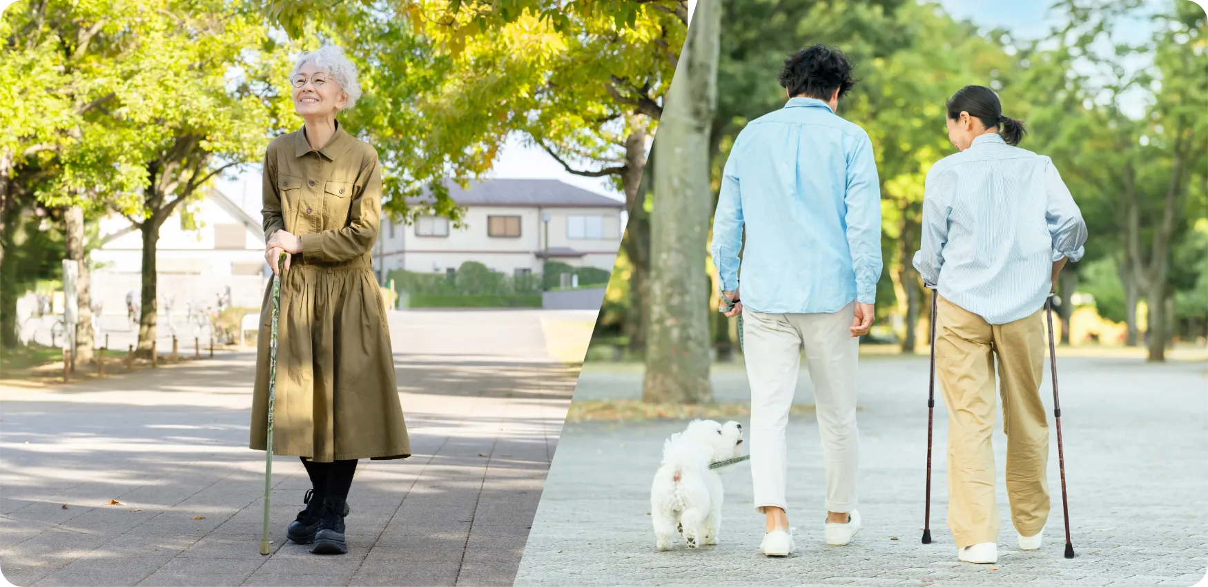 杖と2本杖 高齢者におすすめのウォーキングポール