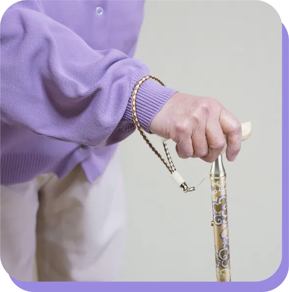 シナノ 杖 ステッキ 高級感